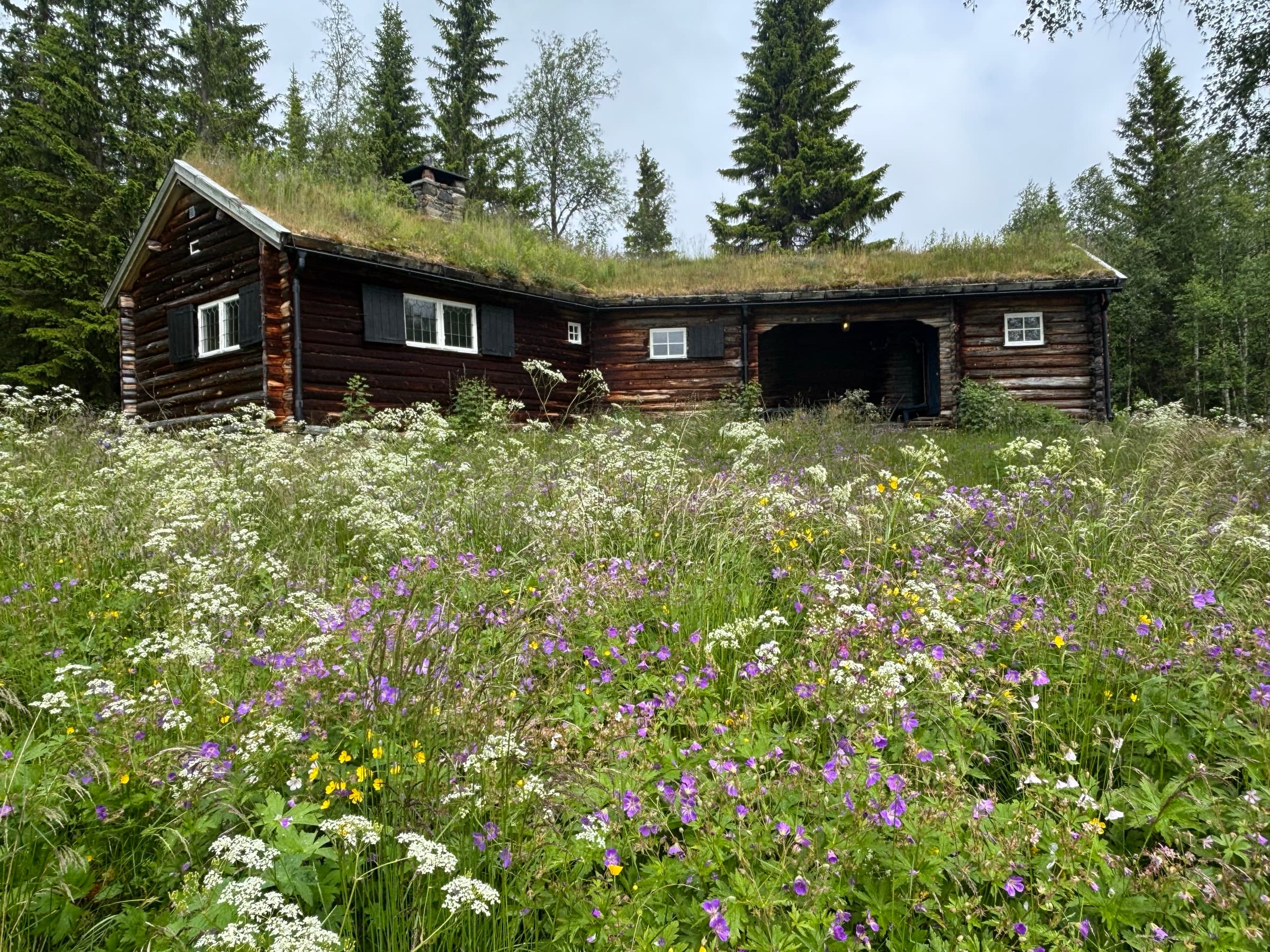 Stugan bakom blomsterängen i juli