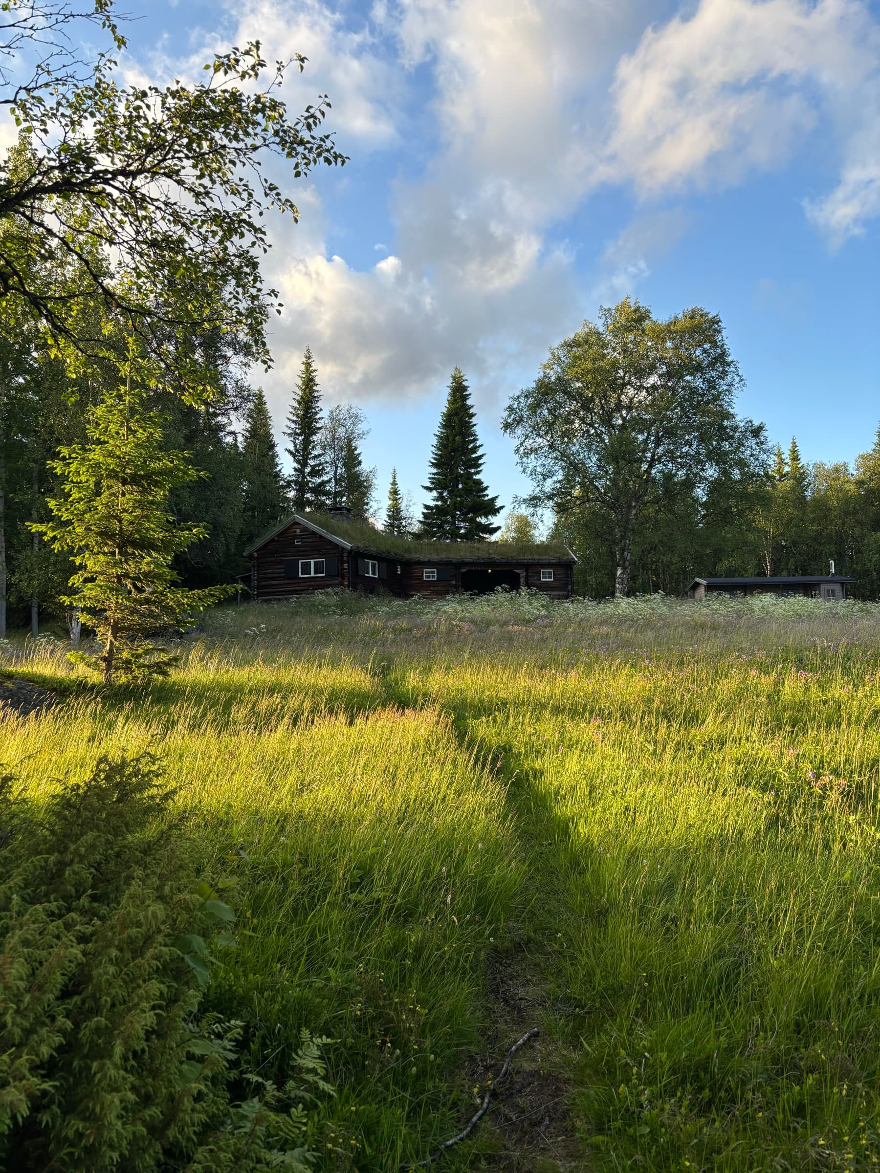 Stigen genom ängen upp till stugan i kvällssol