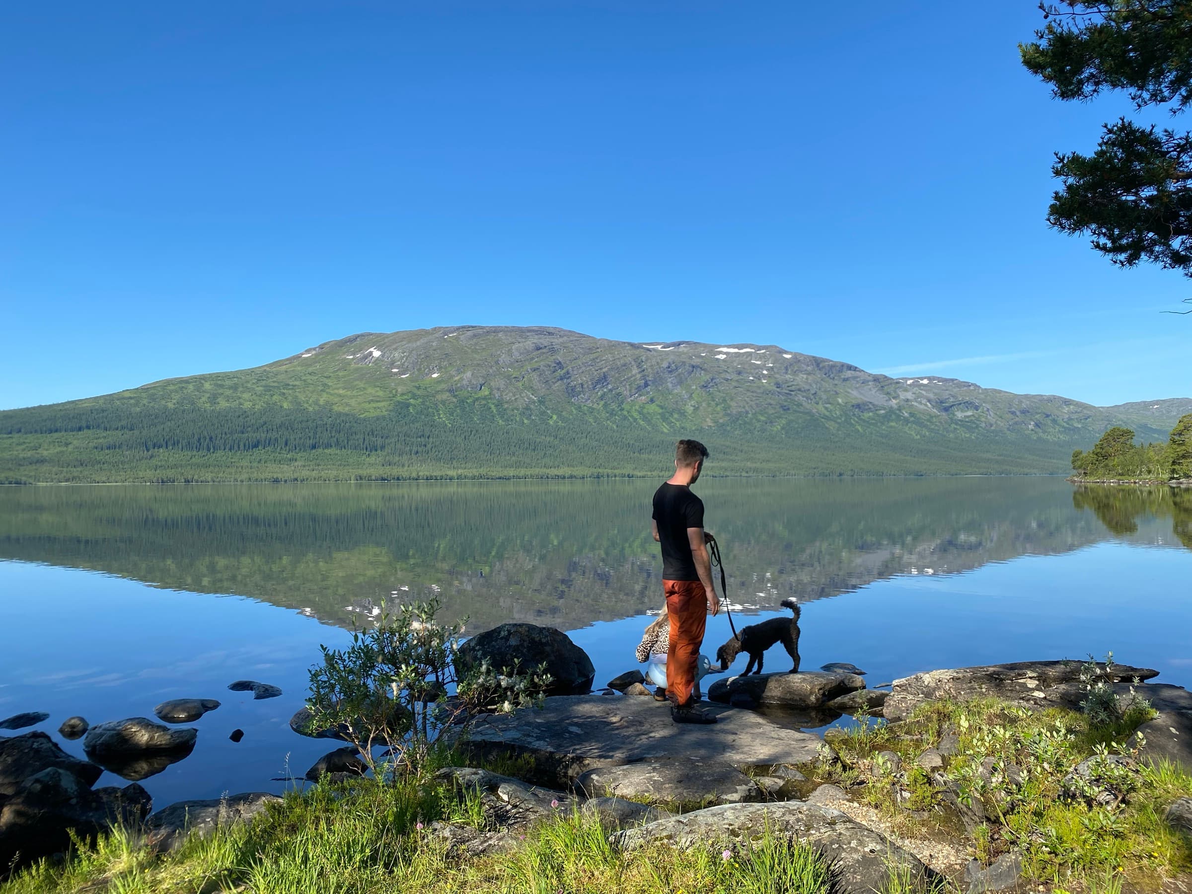 Morgon vid sjön med fjället i fonden