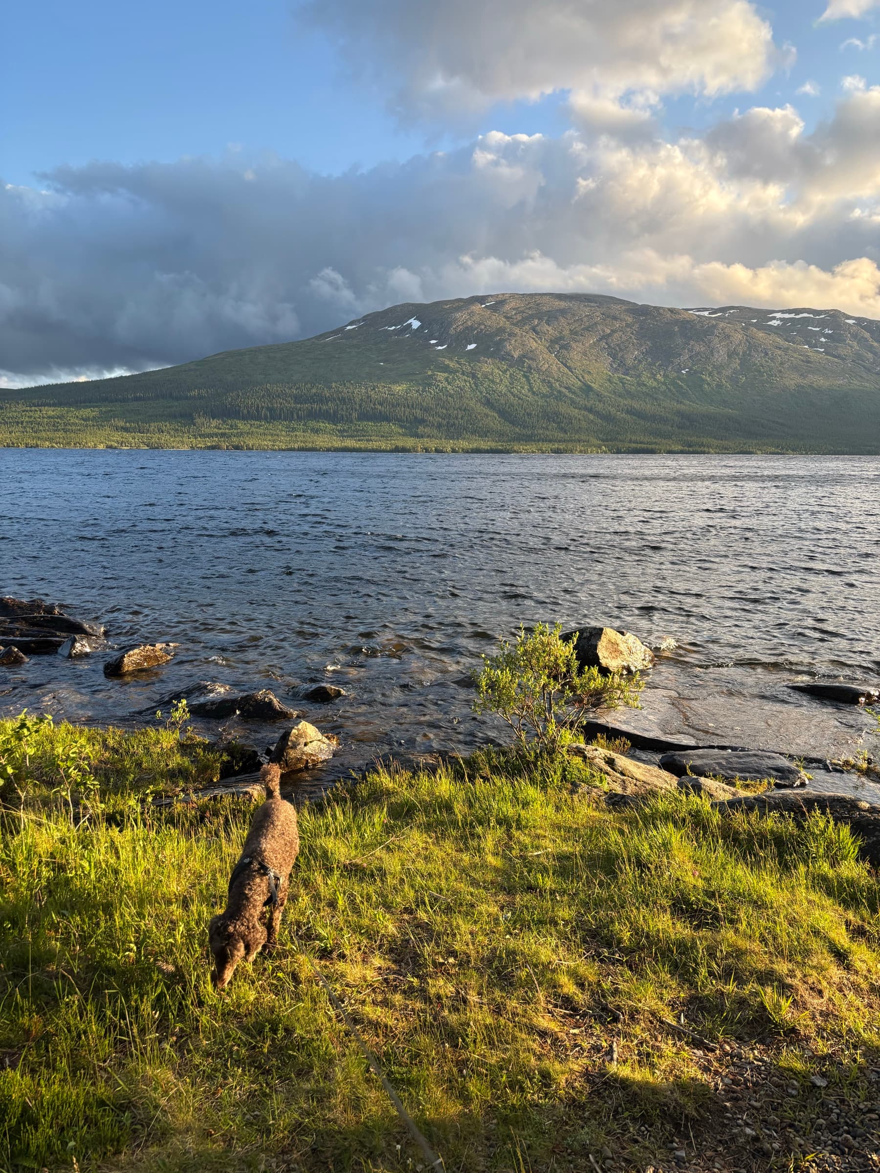 Kvällsljus över stranden