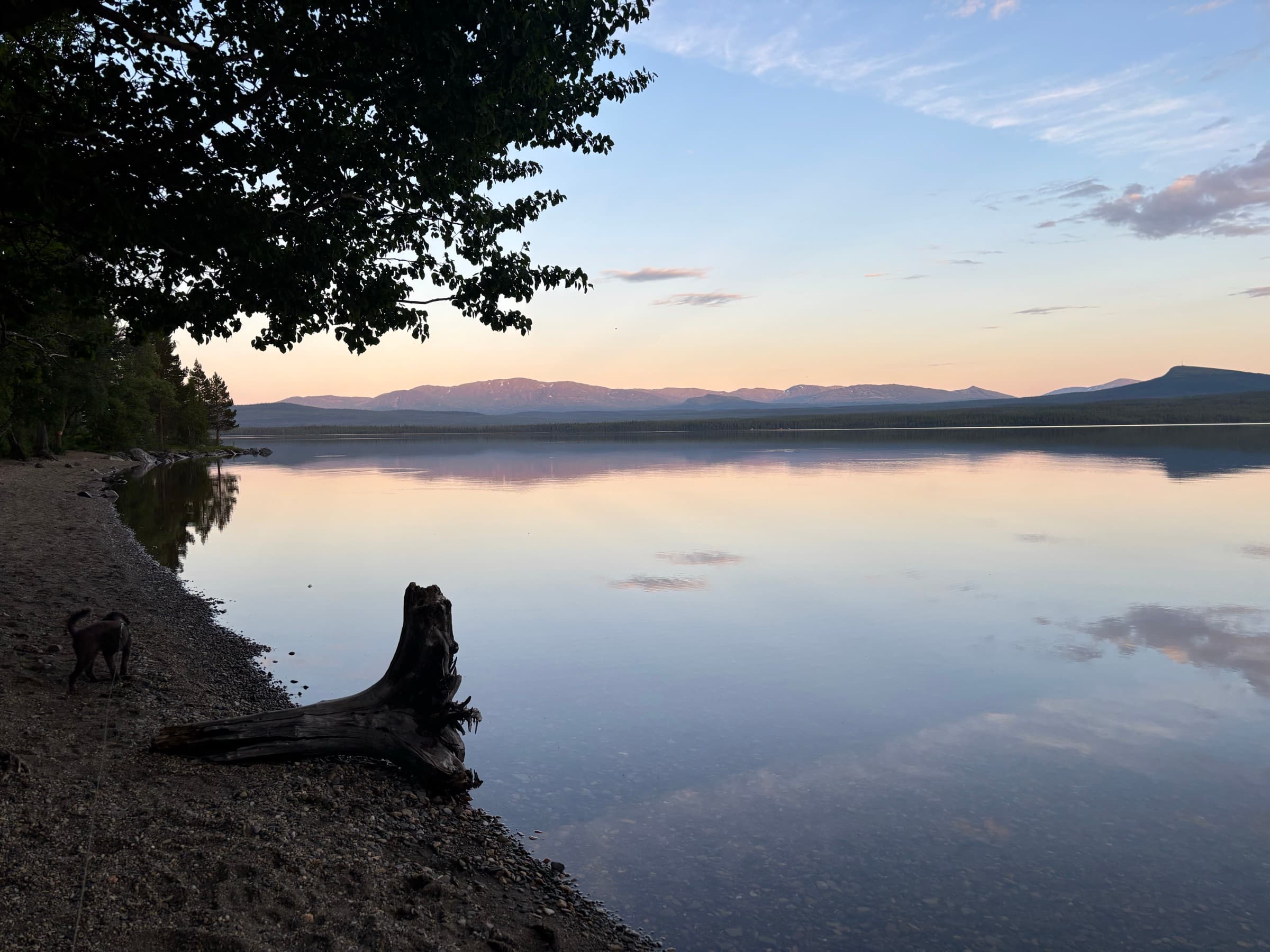 Kvällspromenad längs stranden