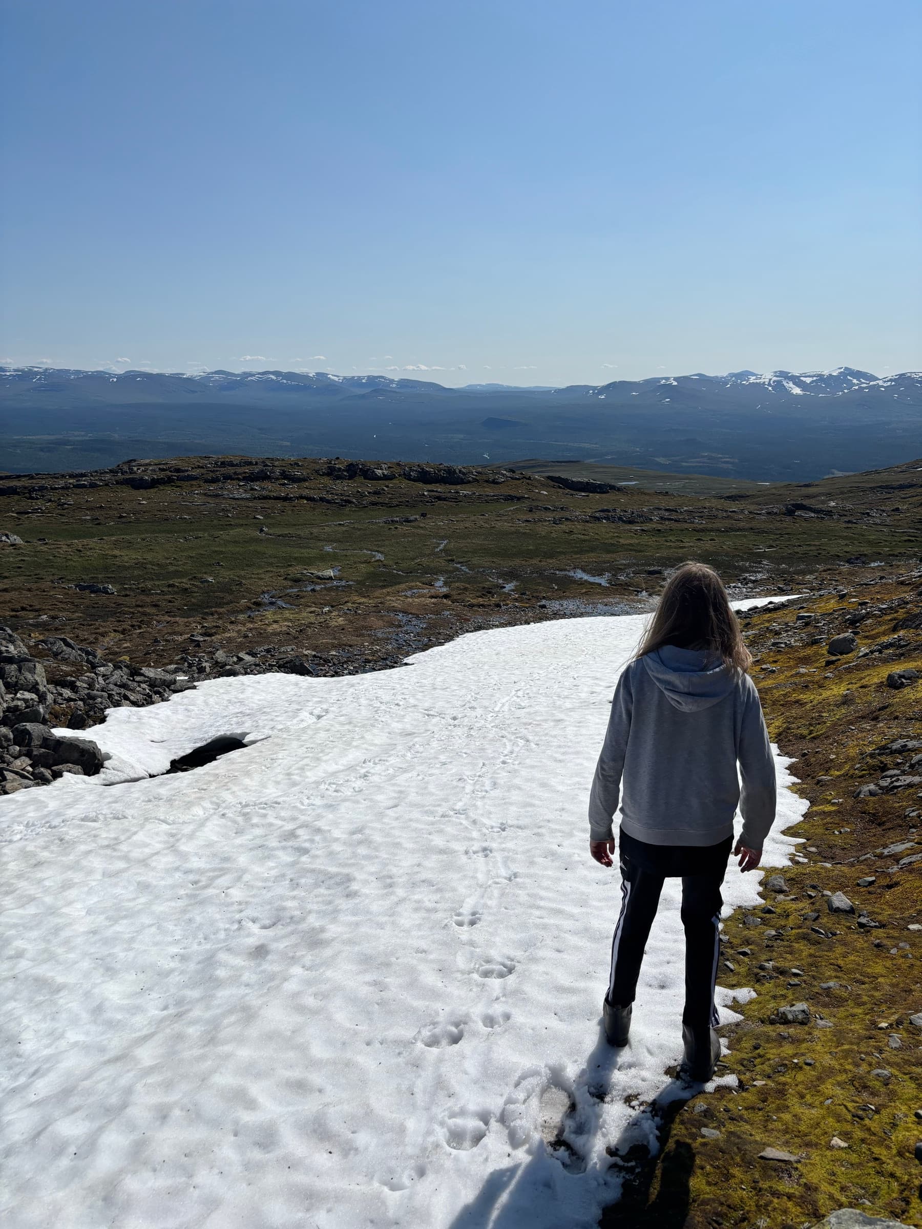 Snöfält på kalfjället i försommaren