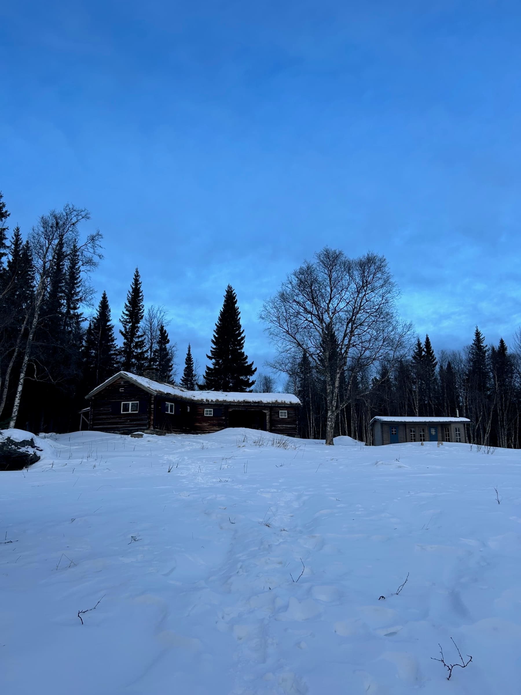 Stugan en vinterkväll i blå timmen