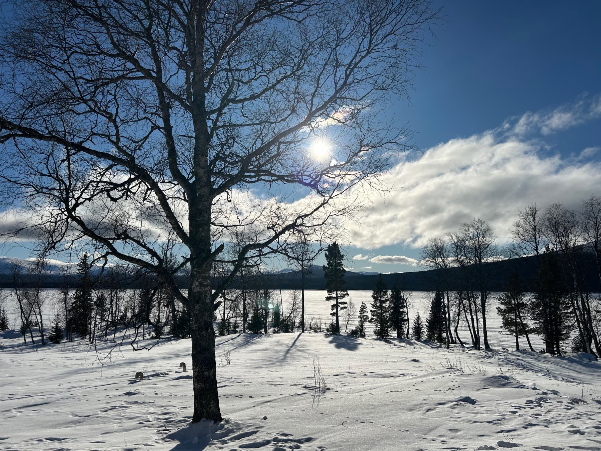 Vintersol över den frusna sjön